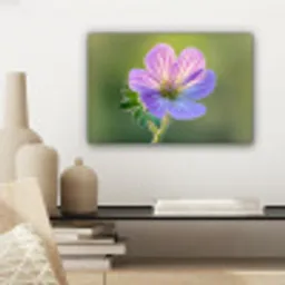 Bloem - Close up - Paars canvas 2cm klein -sfeer6