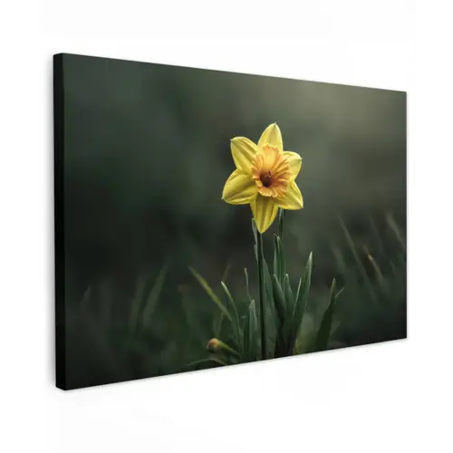 Bloem - Narcis - Gras - Geel canvas 2cm klein -z3d
