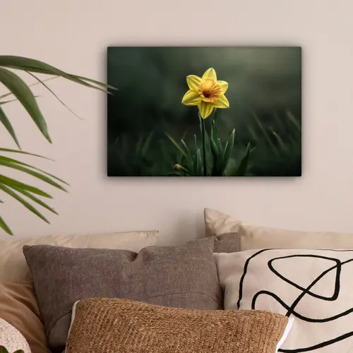 Bloem - Narcis - Gras - Geel canvas 2cm klein -sfeer1