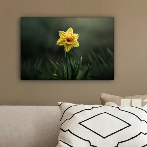 Bloem - Narcis - Gras - Geel canvas 2cm klein -sfeer3