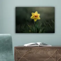 Bloem - Narcis - Gras - Geel canvas 2cm klein -sfeer4
