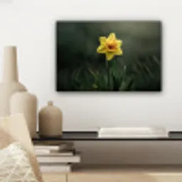 Bloem - Narcis - Gras - Geel canvas 2cm klein -sfeer6
