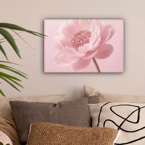Bloem - Pioenroos - Roze canvas 2cm klein -sfeer1