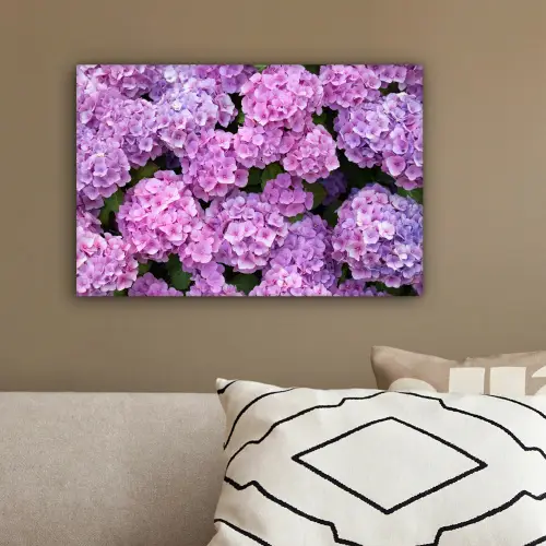Bloemen - Hortensia - Struik - Roze - Bloemblaadjes canvas 2cm klein -sfeer3