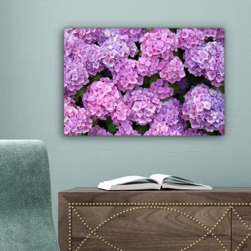 Bloemen - Hortensia - Struik - Roze - Bloemblaadjes canvas 2cm klein -sfeer4