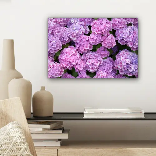 Bloemen - Hortensia - Struik - Roze - Bloemblaadjes canvas 2cm klein -sfeer6