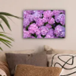 Bloemen - Hortensia - Struik - Roze - Bloemblaadjes canvas 2cm klein -sfeer1