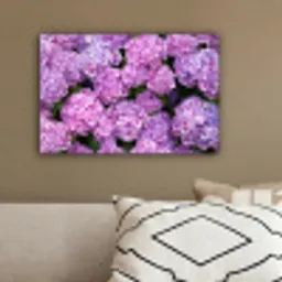 Bloemen - Hortensia - Struik - Roze - Bloemblaadjes canvas 2cm klein -sfeer3