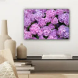 Bloemen - Hortensia - Struik - Roze - Bloemblaadjes canvas 2cm klein -sfeer6