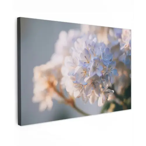 Bloemen - Lichtblauw - Wazig - Trosje canvas 2cm klein -z3d