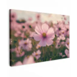 Bloemen - Paars - Wazig canvas 2cm klein -z3d