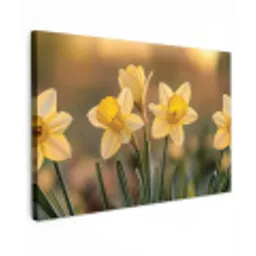 Bloemen - Geel - Wazig canvas 2cm klein -z3d