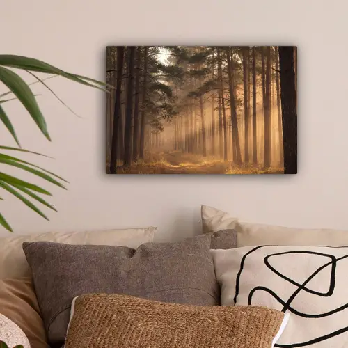 Bos - Mist - Zonlicht canvas 2cm klein -sfeer1