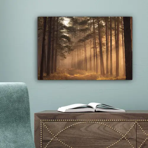 Bos - Mist - Zonlicht canvas 2cm klein -sfeer4