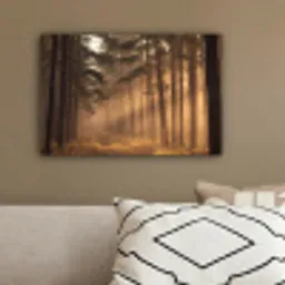 Bos - Mist - Zonlicht canvas 2cm klein -sfeer3