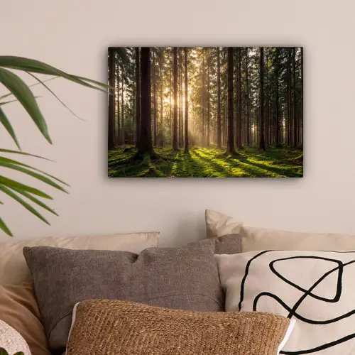 Bos - Gras - Zonlicht canvas 2cm klein -sfeer1