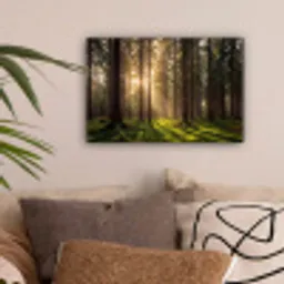 Bos - Gras - Zonlicht canvas 2cm klein -sfeer1