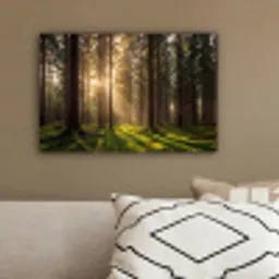 Bos - Gras - Zonlicht canvas 2cm klein -sfeer3