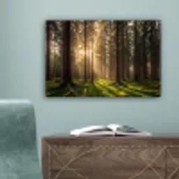 Bos - Gras - Zonlicht canvas 2cm klein -sfeer4