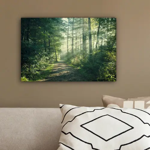 Bos - Pad - Zon - Bomen - Groen - Natuur canvas 2cm klein -sfeer3