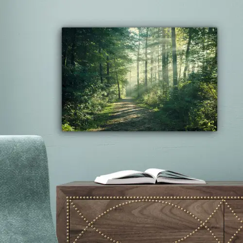 Bos - Pad - Zon - Bomen - Groen - Natuur canvas 2cm klein -sfeer4