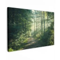 Bos - Pad - Zon - Bomen - Groen - Natuur canvas 2cm klein -z3d