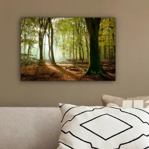 Bos - Zon - Seizoenen - Landschap canvas 2cm klein -sfeer3