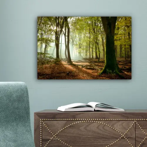 Bos - Zon - Seizoenen - Landschap canvas 2cm klein -sfeer4