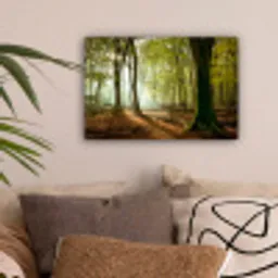 Bos - Zon - Seizoenen - Landschap canvas 2cm klein -sfeer1