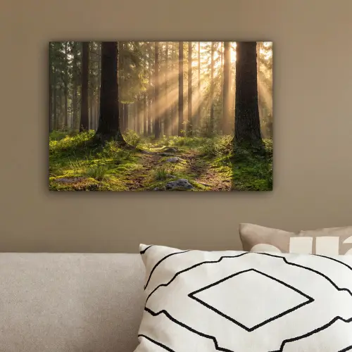 Bos - Zonlicht - Gras canvas 2cm klein -sfeer3