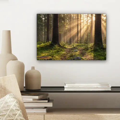 Bos - Zonlicht - Gras canvas 2cm klein -sfeer6