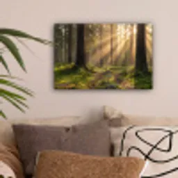 Bos - Zonlicht - Gras canvas 2cm klein -sfeer1