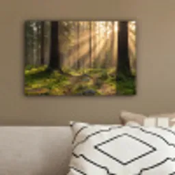 Bos - Zonlicht - Gras canvas 2cm klein -sfeer3