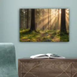 Bos - Zonlicht - Gras canvas 2cm klein -sfeer4