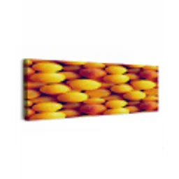 Vrucht - Waterdruppels - Oranje canvas 2cm klein 828 -z3d