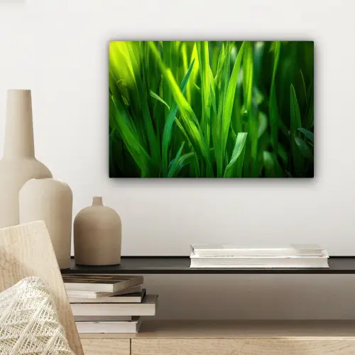Grassprieten - Lichtinval - Groen canvas 2cm klein -sfeer6