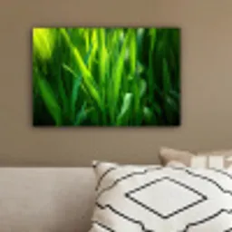 Grassprieten - Lichtinval - Groen canvas 2cm klein -sfeer3