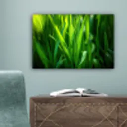Grassprieten - Lichtinval - Groen canvas 2cm klein -sfeer4