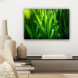 Grassprieten - Lichtinval - Groen canvas 2cm klein -sfeer6