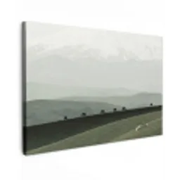 Grijs - Berg - Paarden canvas 2cm klein -z3d