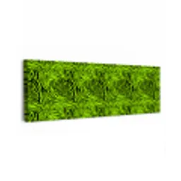 Groen - Zwart - Zebra canvas 2cm klein 828 -z3d
