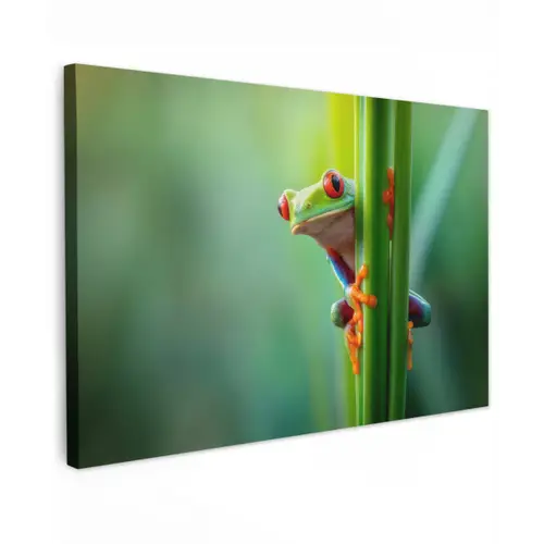 Groene kikker - Nieuwsgierig - Gras canvas 2cm klein -z3d