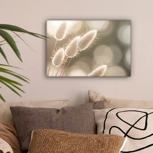 Hazestaartgras - Wit - Zonlicht canvas 2cm klein -sfeer1
