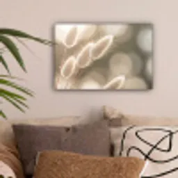 Hazestaartgras - Wit - Zonlicht canvas 2cm klein -sfeer1