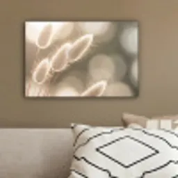 Hazestaartgras - Wit - Zonlicht canvas 2cm klein -sfeer3
