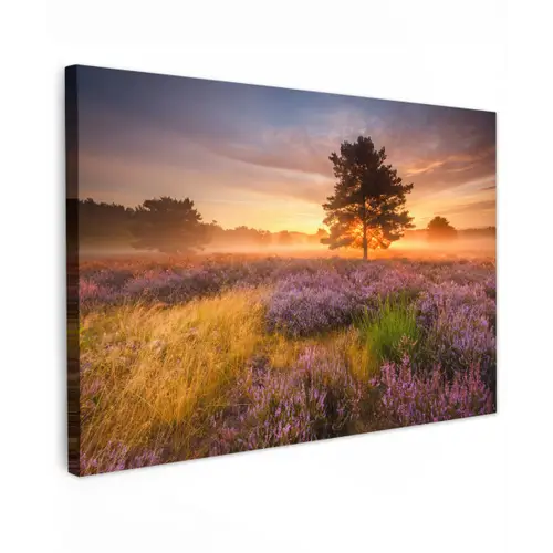Heidelandschap met een boom canvas 2cm klein -z3d