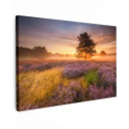 Heidelandschap met een boom canvas 2cm klein -z3d