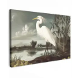 Reiger - Planten - Wolken - Wit canvas 2cm klein -z3d