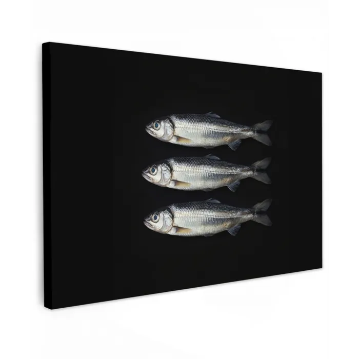 Haring - Vissen - Zwart canvas 2cm klein -z3d