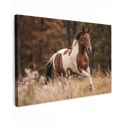 Paard - Bruin - Gras canvas 2cm klein -z3d